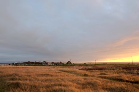 Shellness, Kent