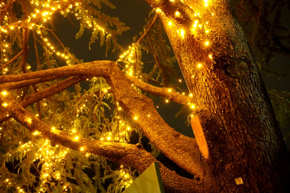 Christmas tree