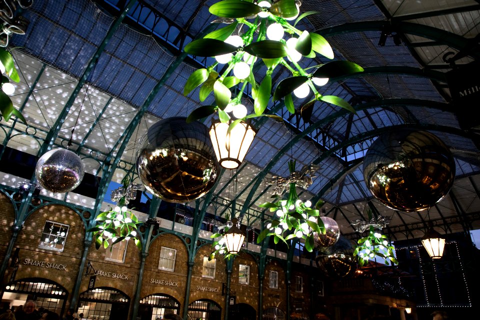 Christmas lights at the Apple Market