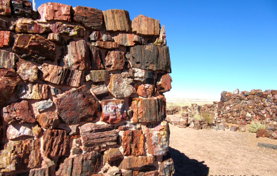 If a house is built with petrified wood...