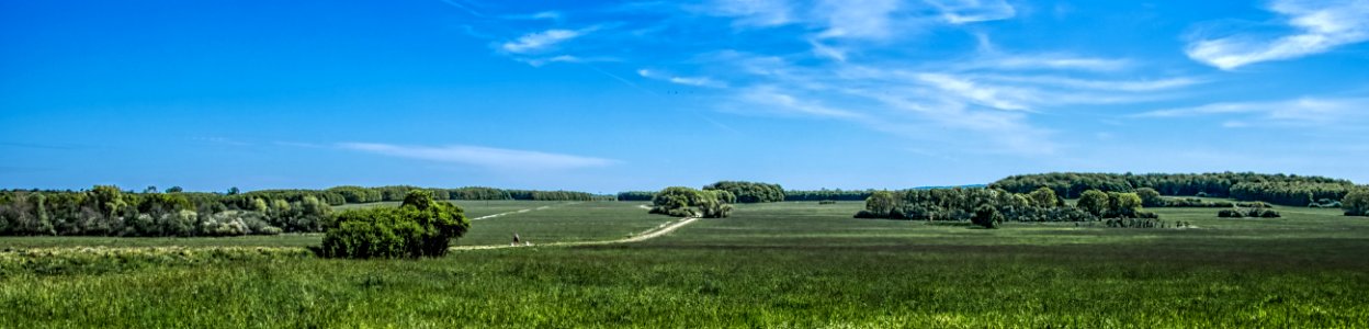 Nature Reserve "Wohld" - Surroundings #6