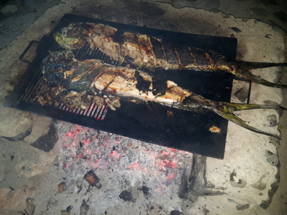 Goldmakrelen grillen