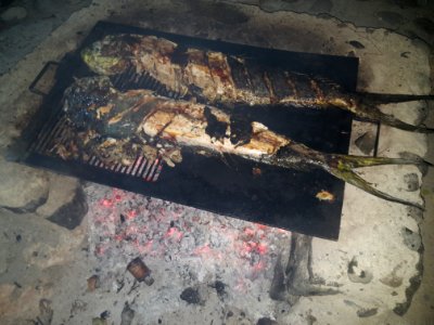 Goldmakrelen grillen