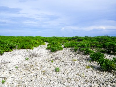 Spit Island photo