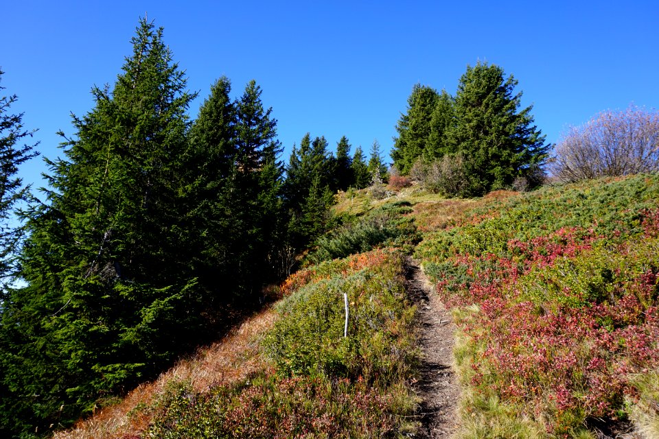 Sadreinegg (Graubünden) photo