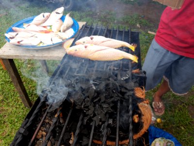 Fisch grillen photo