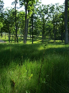 Summer spring wisconsin