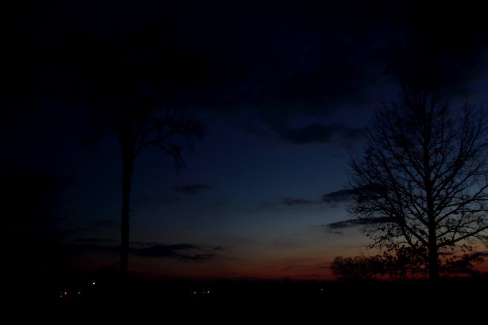Redwash sky and trees