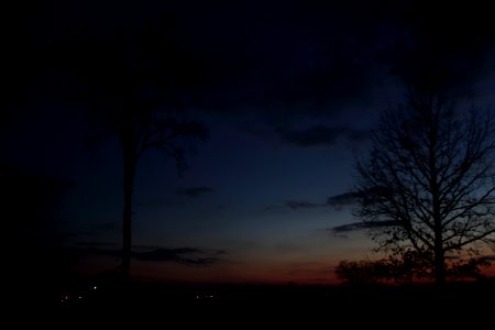 Redwash sky and trees