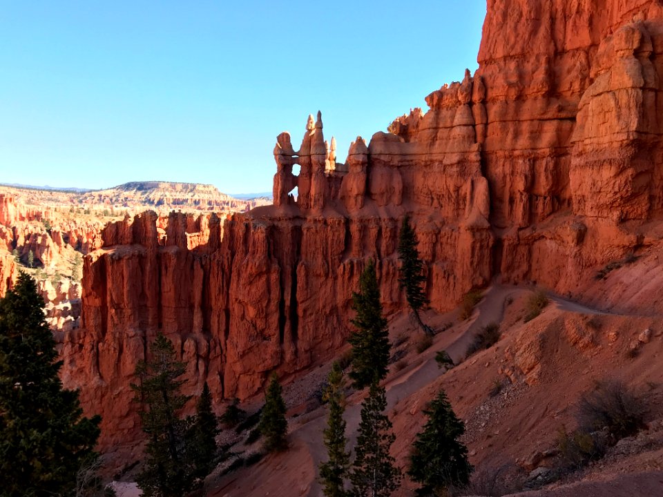 Looking up to the hoodoos