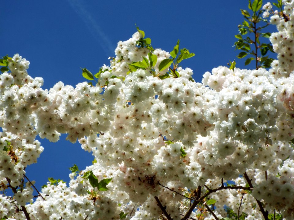 DSCF4069