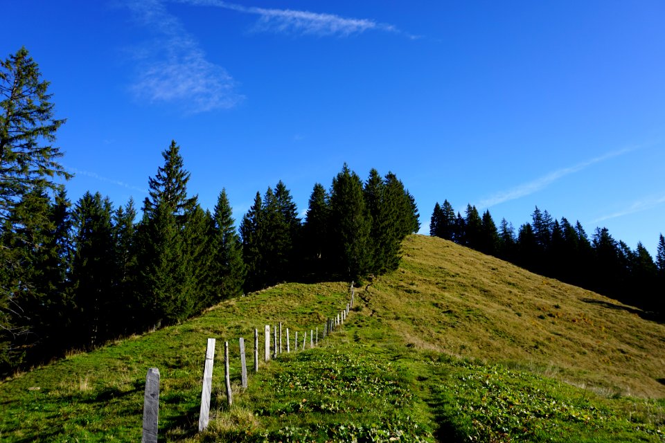 Nüssen (Kanton Schwyz)