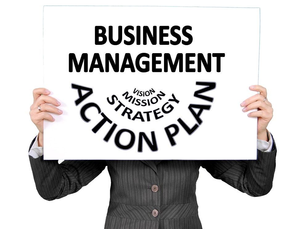 Plan action strategy