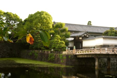 Imperial Palace photo