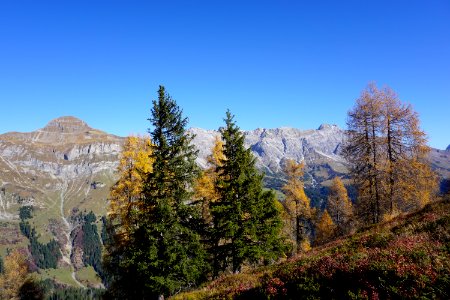 Jeninser Alp (Graubünden) photo