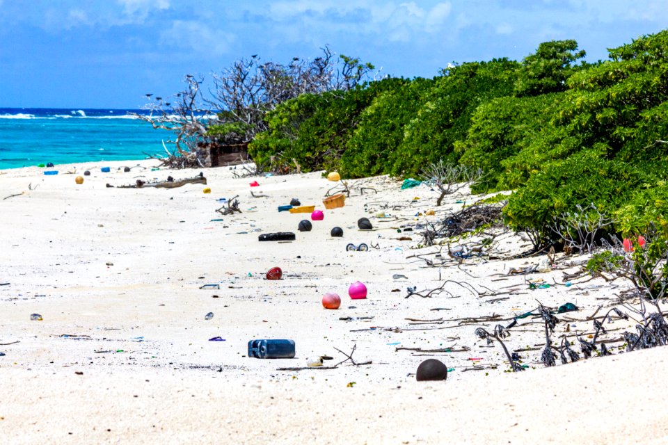 Marine debris, largely composed of plastic, washes up on Midway's south shore