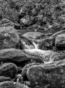 Mountain Stream
