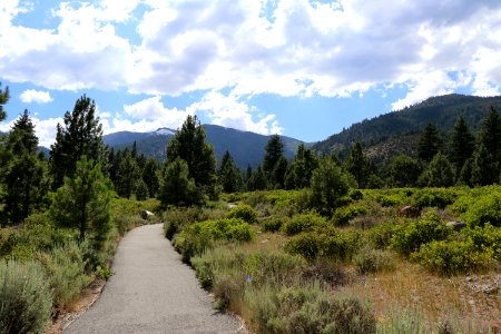 Mt.Rose View Interpretive