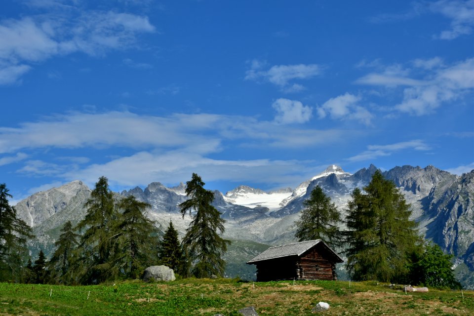 Peace in front of Adamello