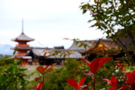Kiyomizu-dera temple photo
