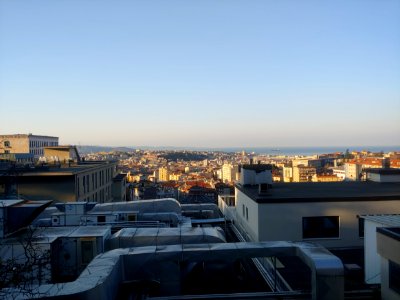 Trieste dall'università