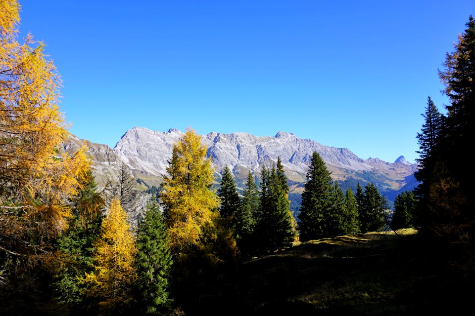 Lärchli, Luvadina (Graubünden). Schesaplana.