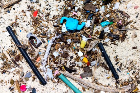 Marine debris, largely composed of plastic, intermingles with organic material that has washed up on Midway