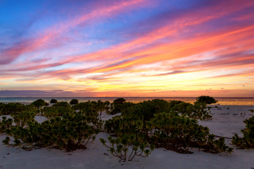 Spectacular sunset over North Beach