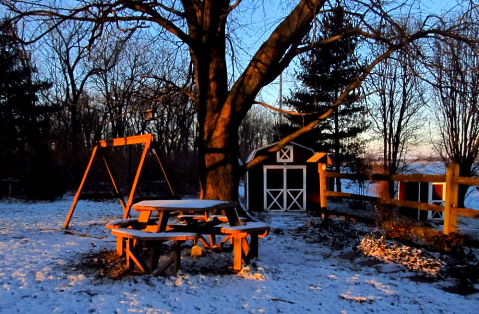 My Backyard in the Winter