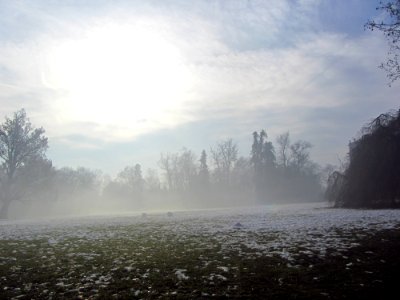 Morning mist in the snowfield photo