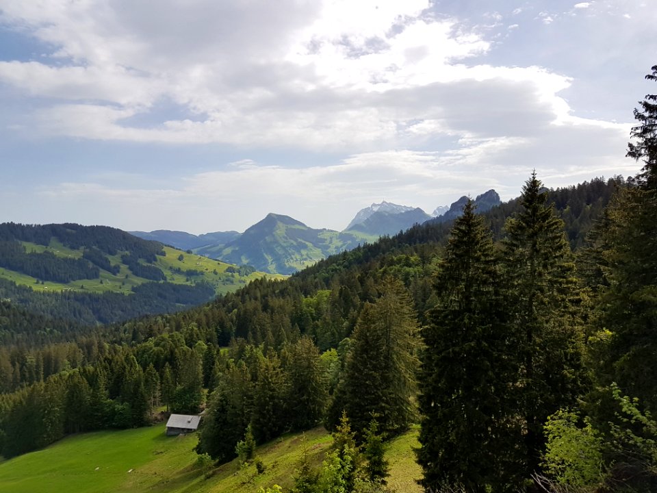Stockberg (Toggenburg)