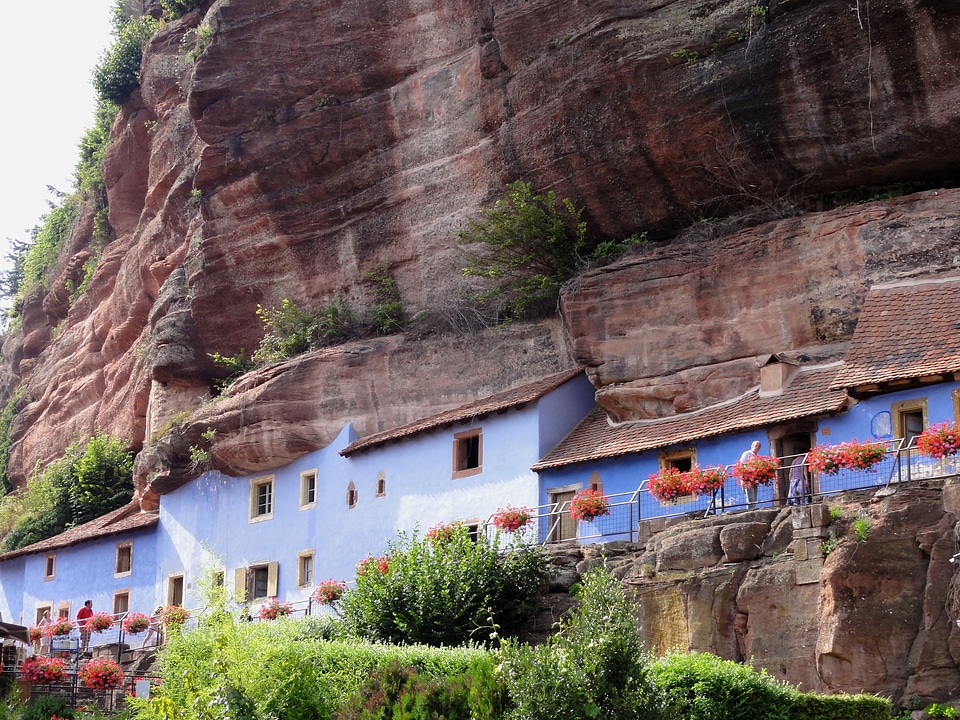 Mountain cliff trees