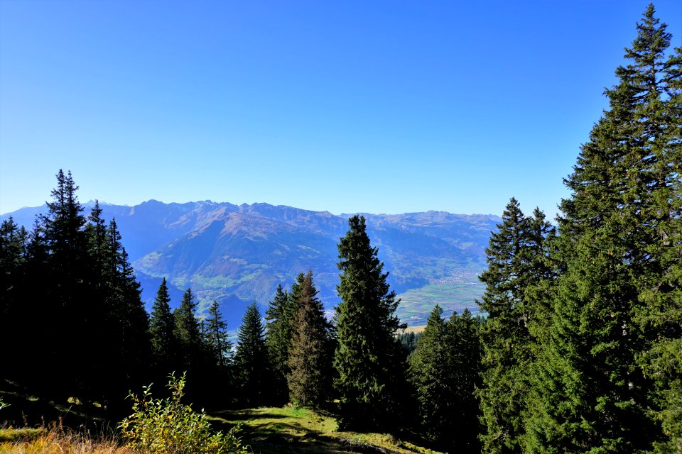 Jeninser Alp (Graubünden). Rheintal, Sarganserland.