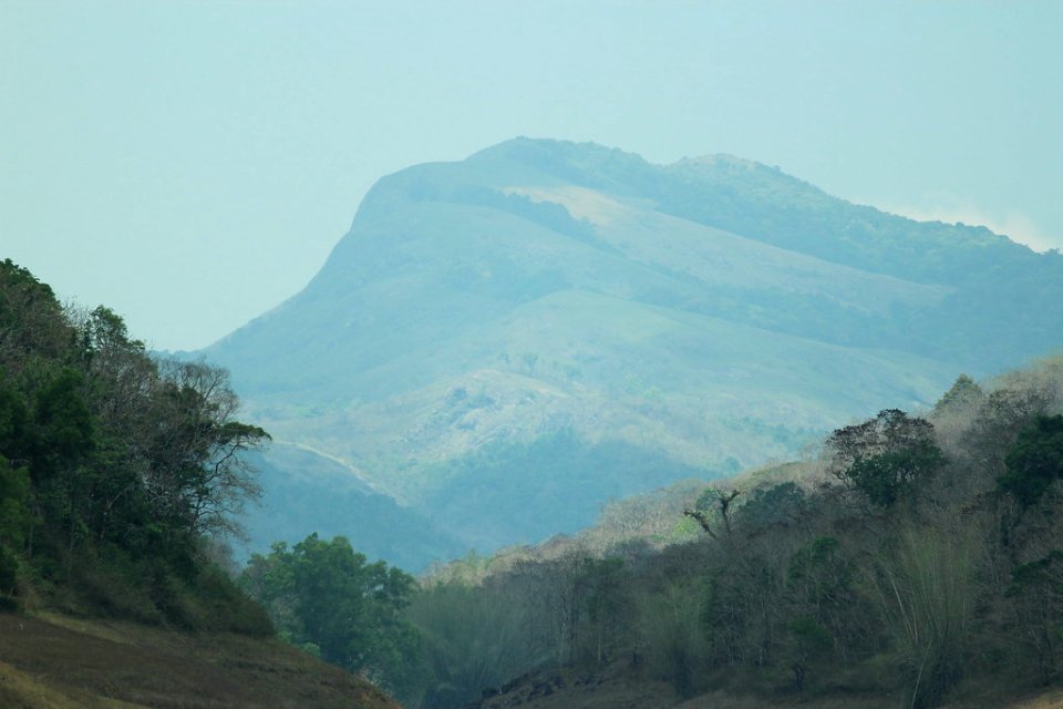 A hill near Ayyappancoil, Idukki