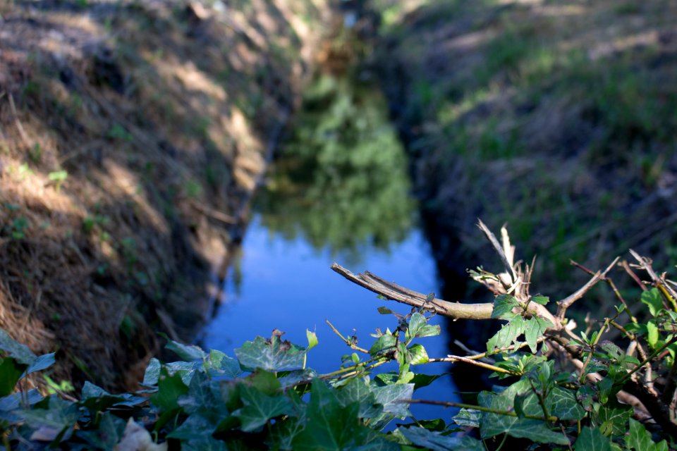 Canal