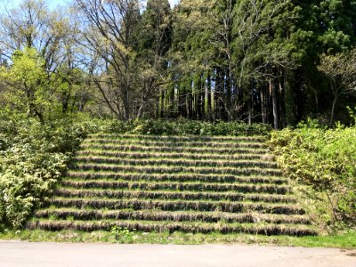 Grassy steps
