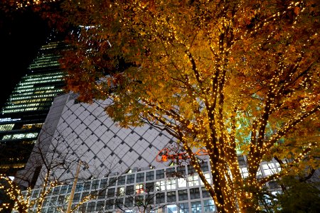 Tokyo night in Autumn