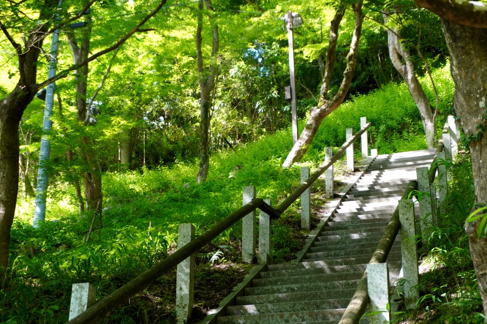 Stairs towards to shrine