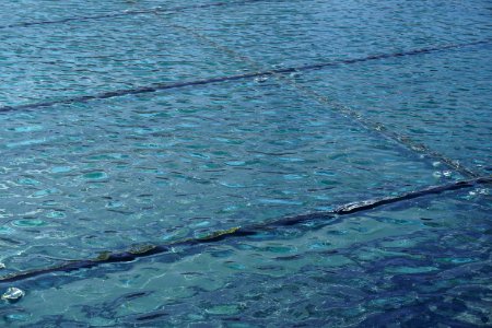 Water surface