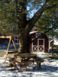 My Shed after the Snow photo