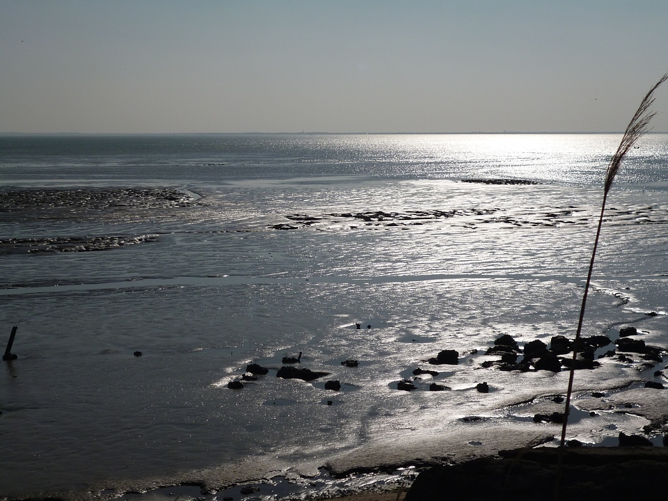 Water nature landscapes