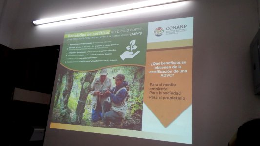 SEIARN_DIRECCIÓN DE SISTEMAS DE INFORMACIÓN AMBIENTAL_FERNANO VALDEZ_CALDERÓN_IMG_20190626_103250