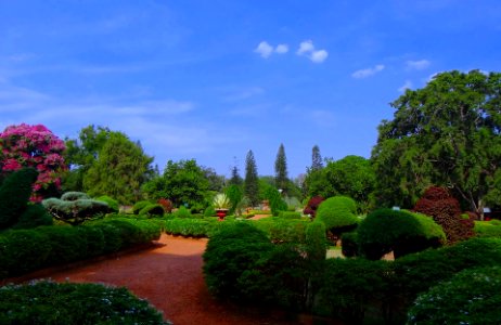 Park Lal Bagh Garden Botanical Garden Greenery photo