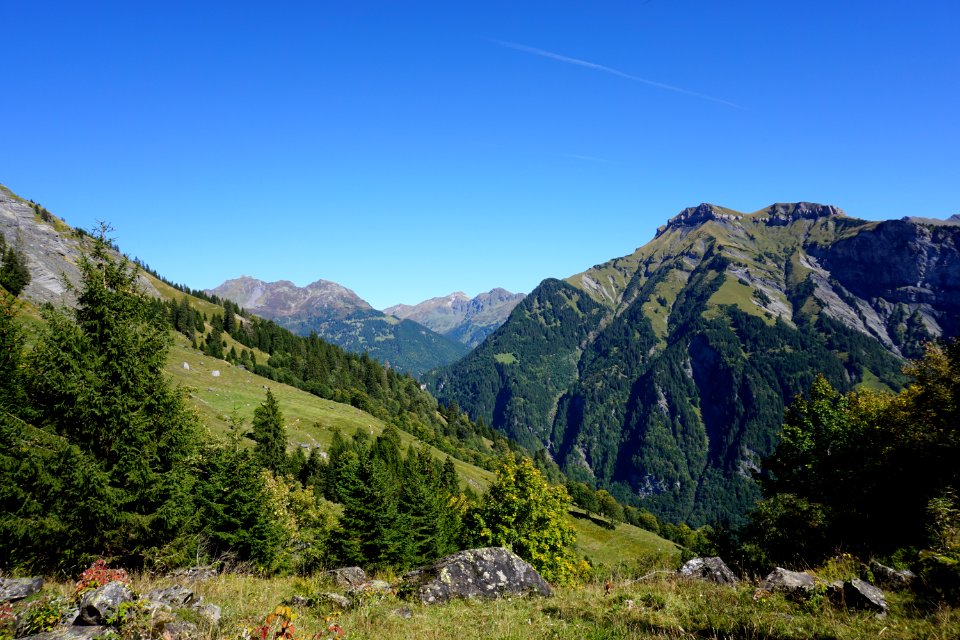 Chüeboden (Glarner Alpen). Fanenstock.