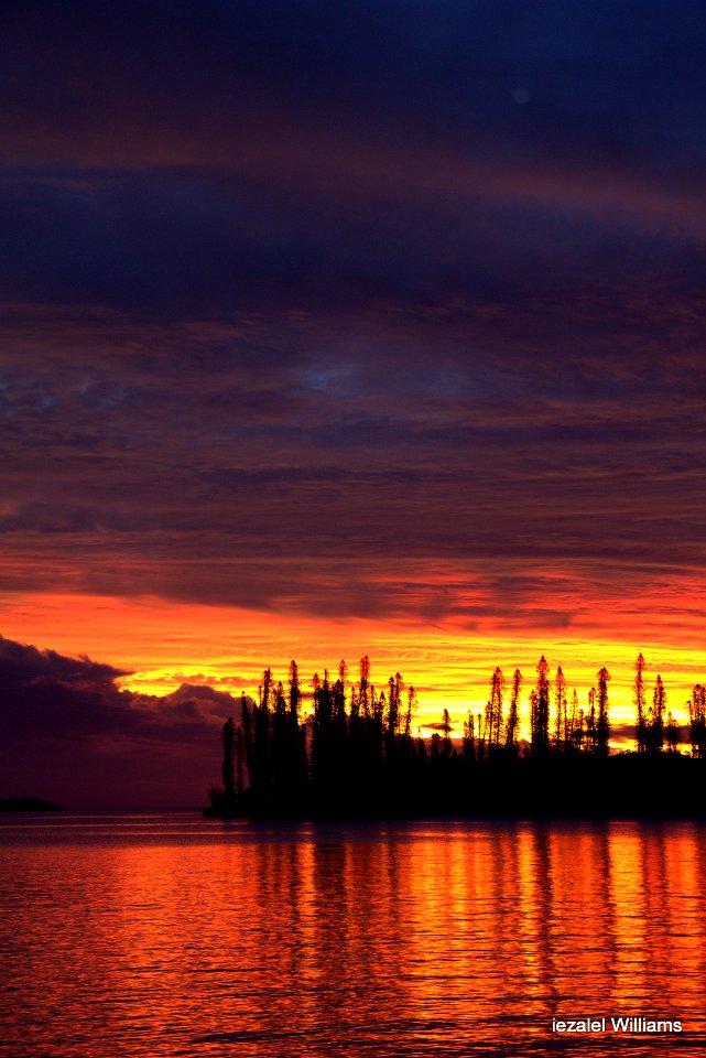 Good Evening Friends of the World(s) and Beyond with LOVE and LIGHT IMG_0326