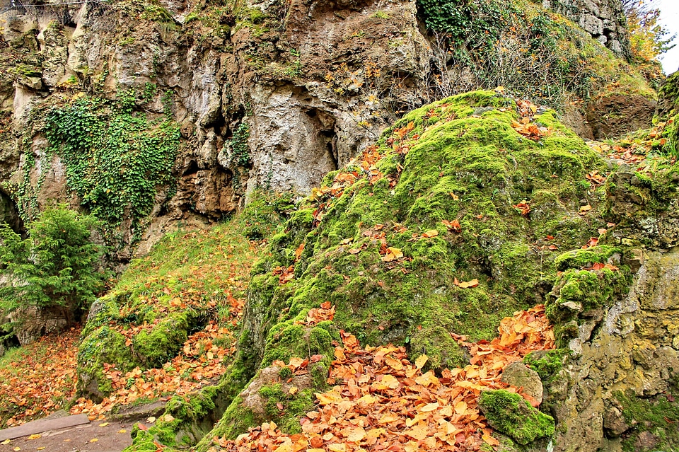 Hiking autumn emerge