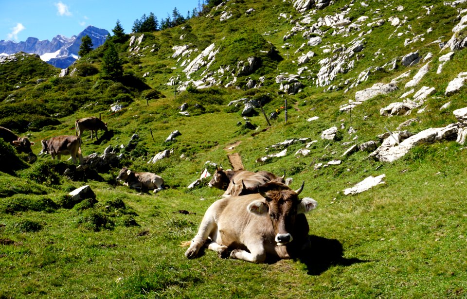 Chrummboden (Kanton Glarus)