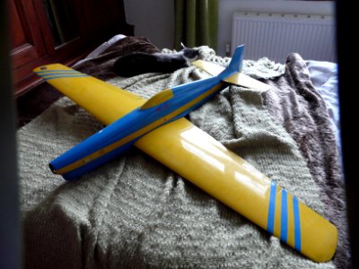 Alan Laurie F3D pylon racer