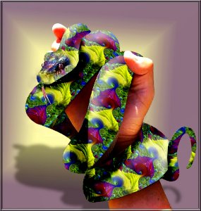 Python