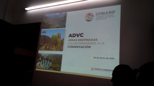SEIARN_DIRECCIÓN DE SISTEMAS DE INFORMACIÓN AMBIENTAL_FERNANO VALDEZ_CALDERÓN_IMG_20190626_102537